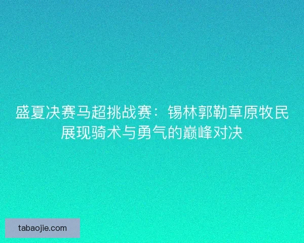 盛夏决赛马超挑战赛：锡林郭勒草原牧民展现骑术与勇气的巅峰对决