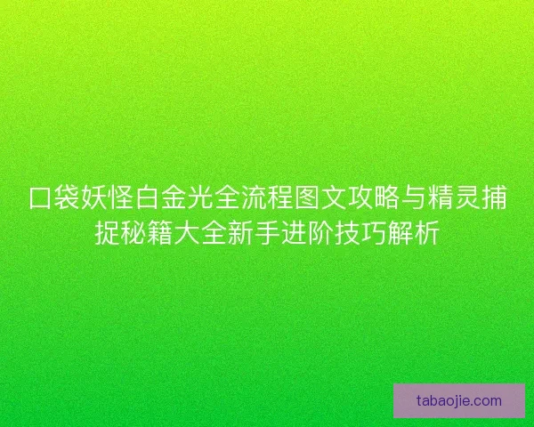 口袋妖怪白金光全流程图文攻略与精灵捕捉秘籍大全新手进阶技巧解析 口袋妖怪白金光全流程图文攻略与精灵捕捉秘籍大全新手进阶技巧解析